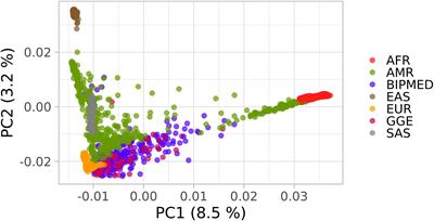 Association Analysis of Candidate Variants in Admixed Brazilian Patients With Genetic Generalized Epilepsies